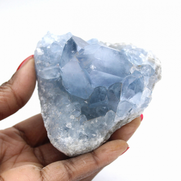 Célestine de Madagascar : Druse et Cristaux Bruts