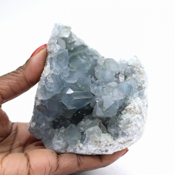 Grande Druse de Célestine de Madagascar