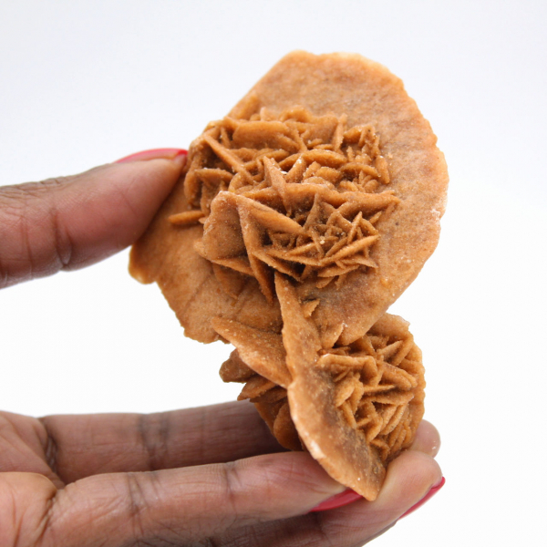 Rose des sables du Maroc : spécimen de cristallisation naturelle