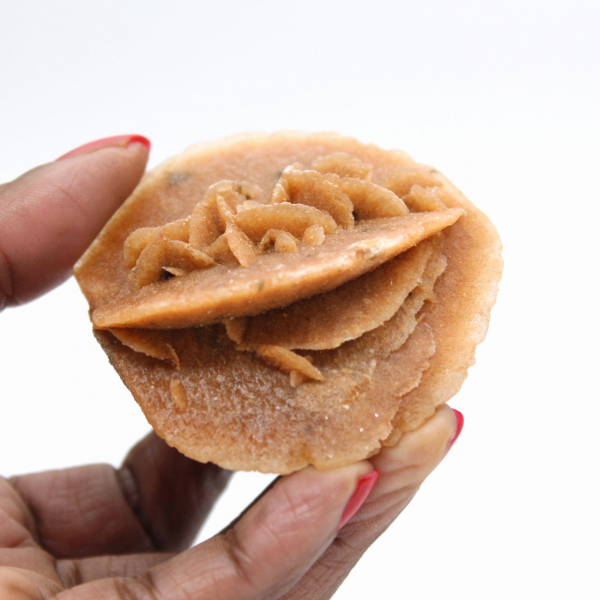 Rose des sables du désert marocain : objet de décoration brute