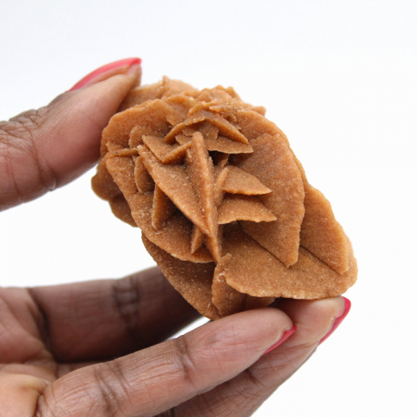 Formation de Rose des sables marocaine : gypse de collection