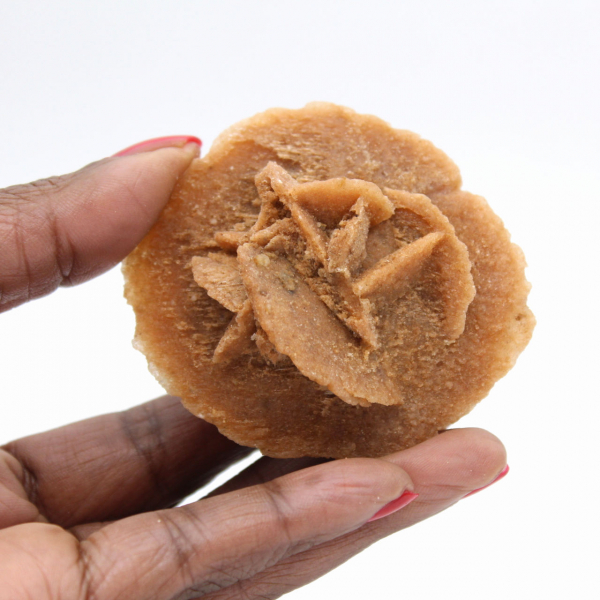 Rose des sables du Maroc : structure cristalline authentique