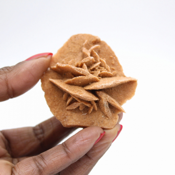 Rose des sables marocaine : petite pièce de collection brute