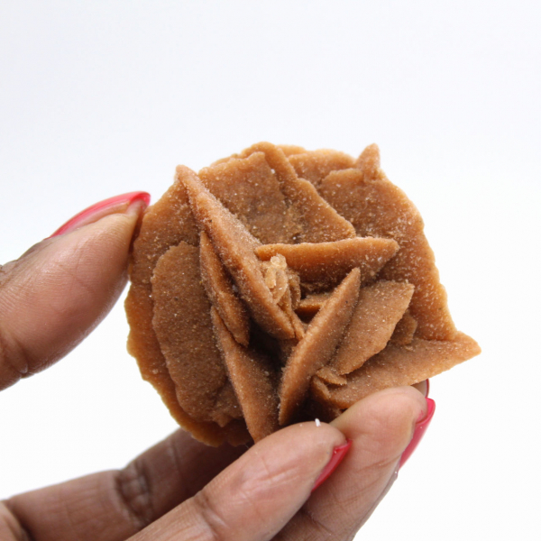 Petit fragment de Rose des sables : minéral du Maroc