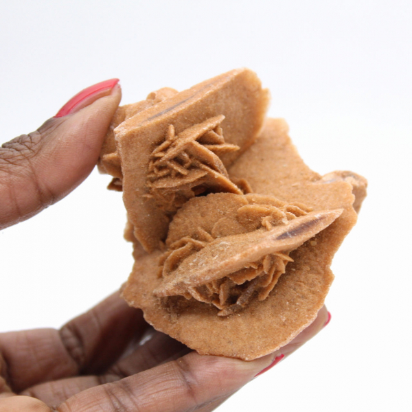 Rose des sables marocaine : formation cristalline équilibrée