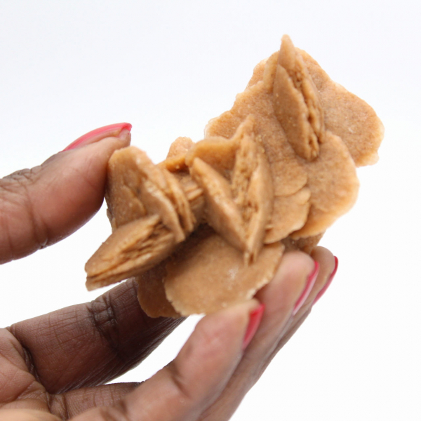 Spécimen de gypse cristallisé : Rose des sables du Maroc