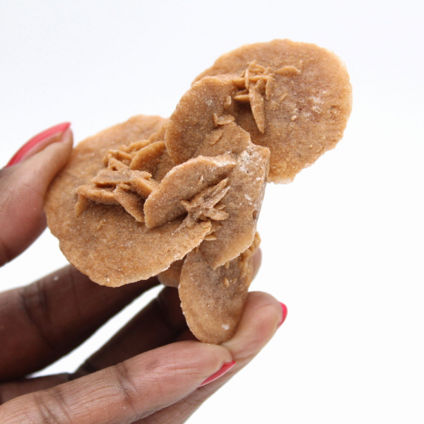 Petite Rose des sables marocaine : éclat du gypse naturel