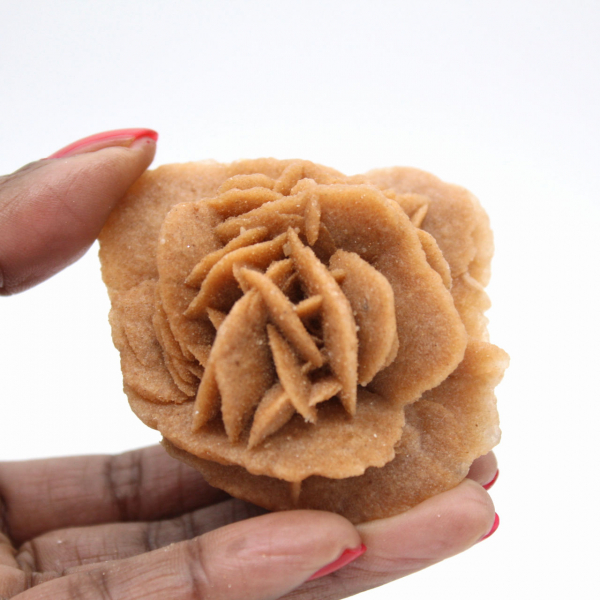 Rose des sables marocaine : bouquet de gypse naturel