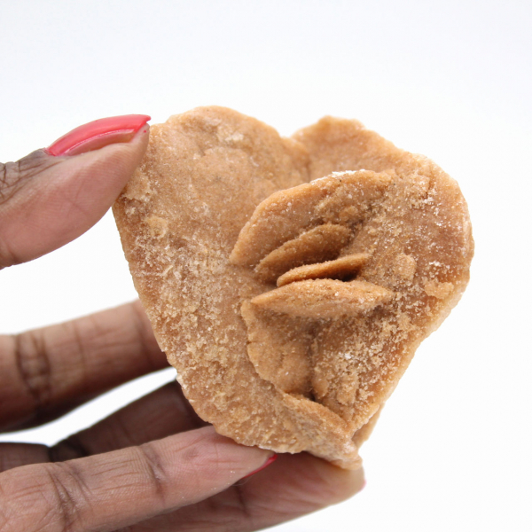 Rose des sables du Maroc : finesse des cristaux de gypse