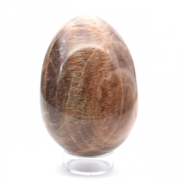 Pierre de Lune Noire - Œuf Microcline 455g