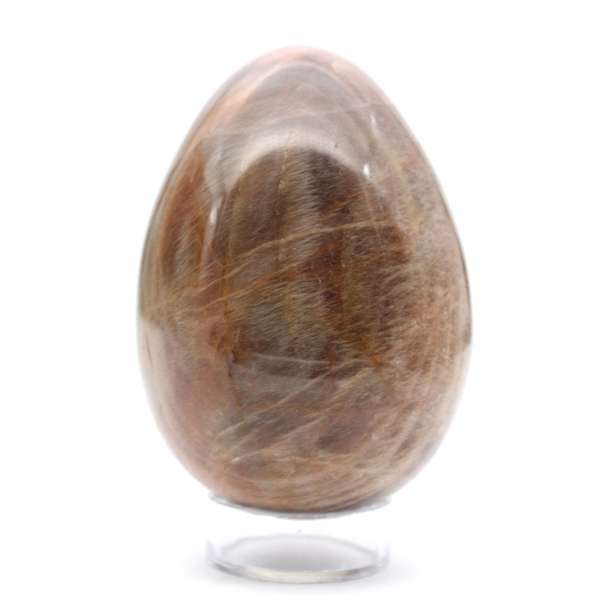 Œuf Pierre de Lune Noire 355g - Madagascar