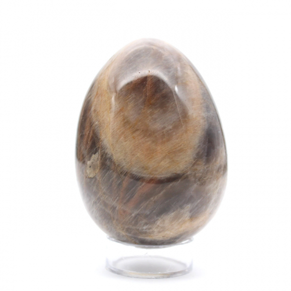 Œuf Microcline Pierre de Lune Noire