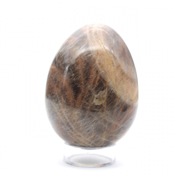 Œuf Microcline Pierre de Lune Noire