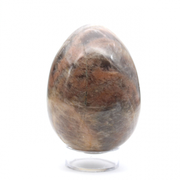Œuf Microcline Pierre de Lune Noire