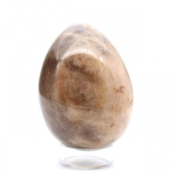 Pierre de Lune Noire - Œuf 300g Madagascar