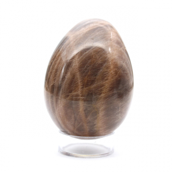 Œuf en Microcline Noir Madagascar 235g