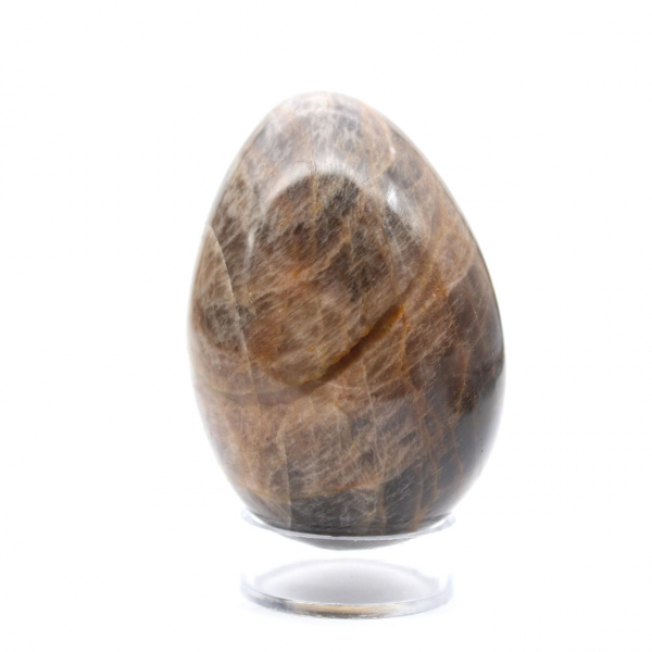 Microcline Noir Madagascar - Œuf 195g