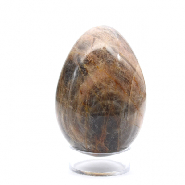 Microcline Noir Madagascar - Œuf 195g