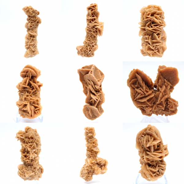 Rose des sables minéral naturel Tunisie