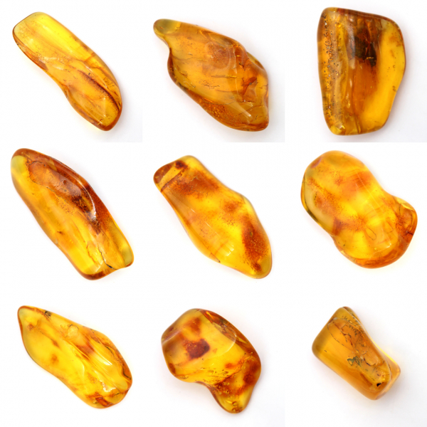 Galet Ambre jaune de Lituanie pour collection de fossiles