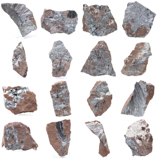 Pyrolusite, Spécimen Authentique sur Matrice