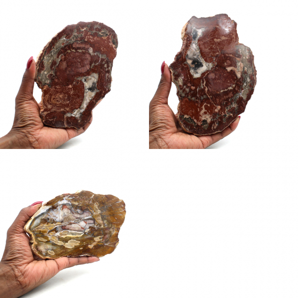 Bois silicifié naturel
