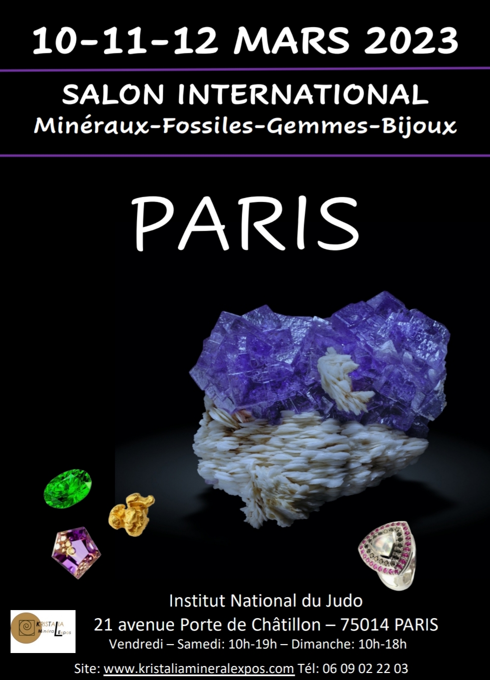Paris, Salon minéraux, fossiles, pierres précieuses, Paris Institut du Judo