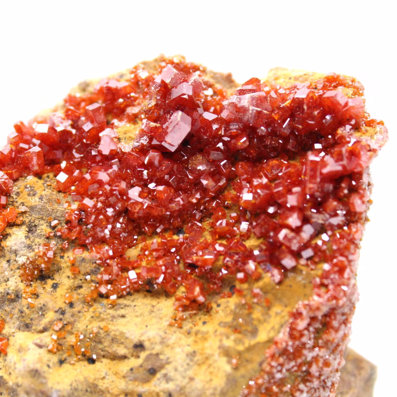 Découvrez la vanadinite : un minéral aux cristaux hexagonaux d'un rouge éclatant vanadinite maroc 043