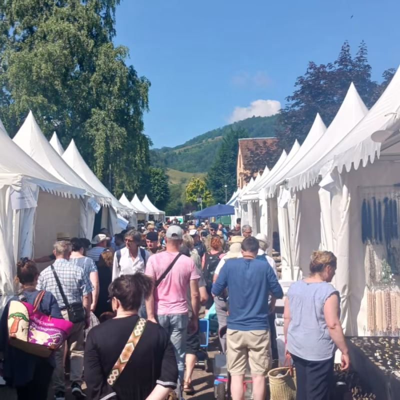 Mineral & Gem 2025 : un salon minéralogique international majeur allee smam 2025 2