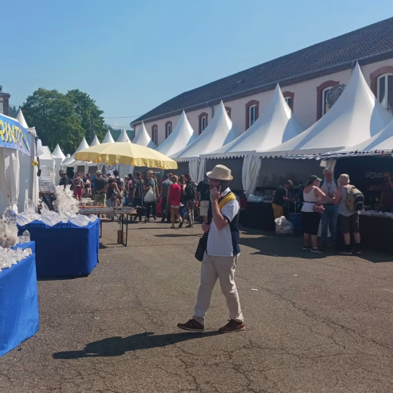 Mineral & Gem 2025 : un salon minéralogique international majeur allee smam 2025 3