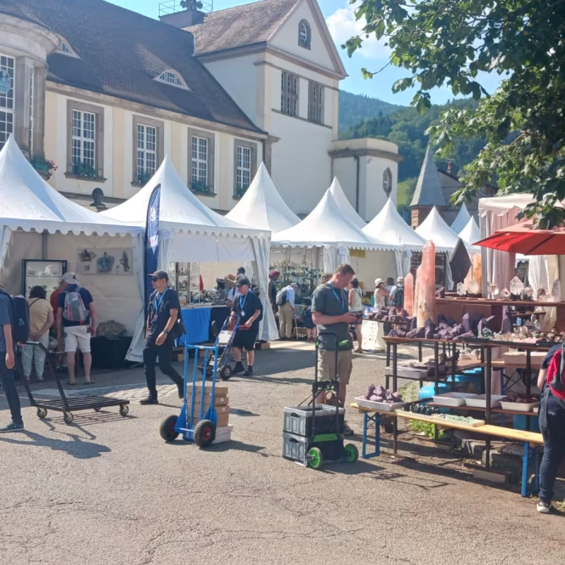 Mineral & Gem 2025 : un salon minéralogique international majeur allee smam 2025 5