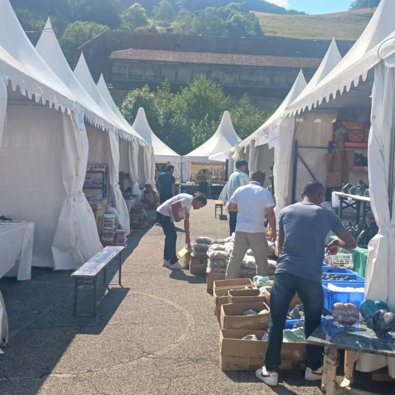 Mineral & Gem 2025 : un salon minéralogique international majeur allee smam 2025 6