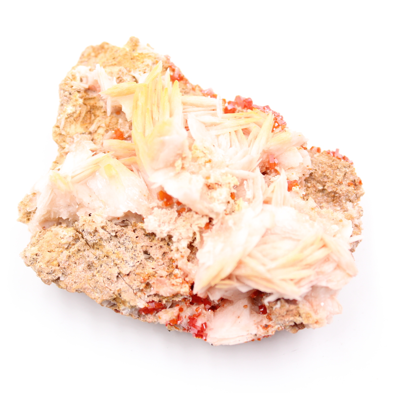Cristaux de vanadinite sur gangue