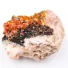 Cristaux de vanadinite sur gangue - 0
