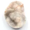 Cristaux de quartz sur agate polie - 0