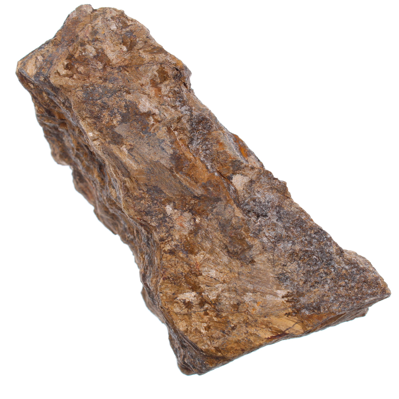 Bronzite du Brésil