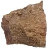 Bronzite du Brésil - 0