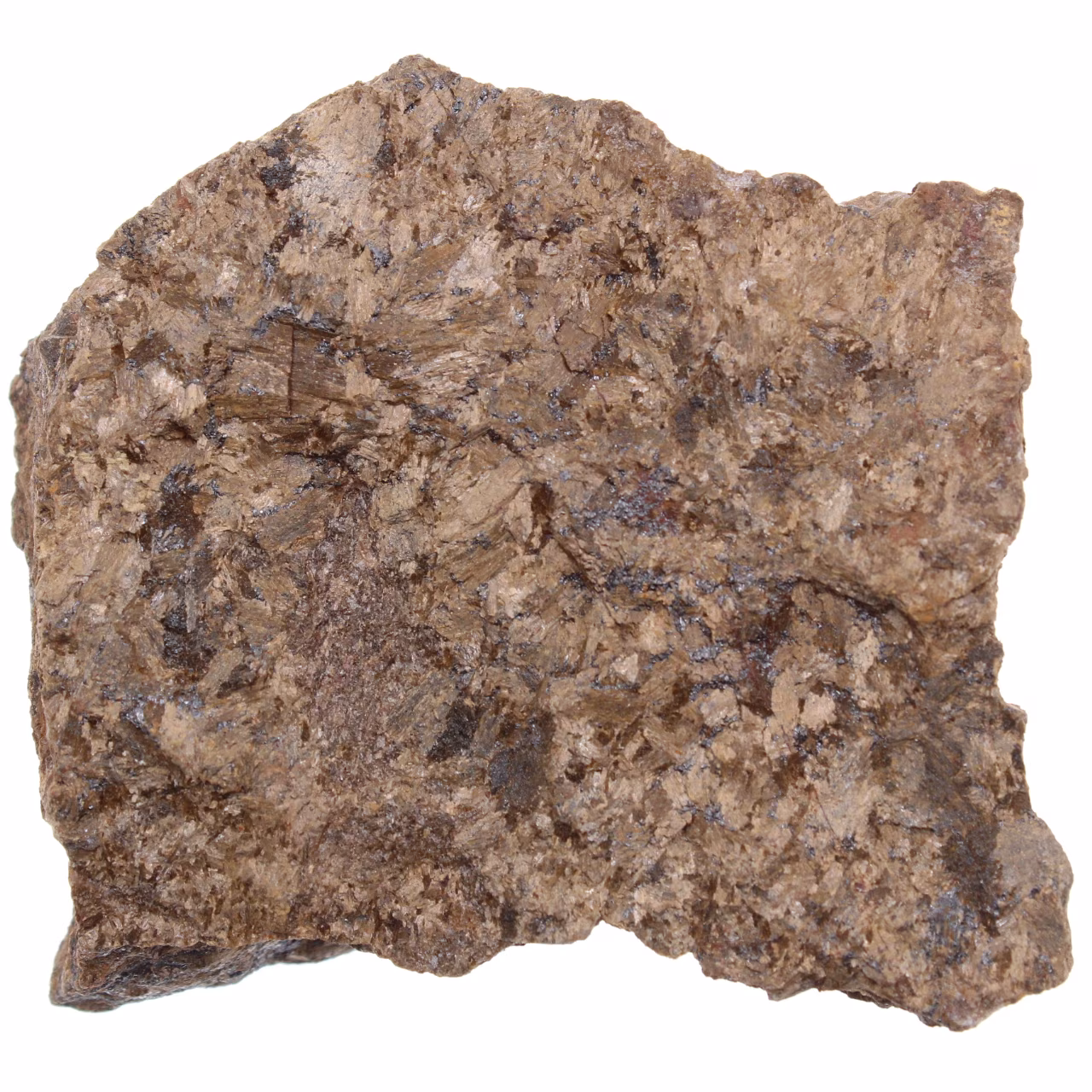 Bronzite du Brésil