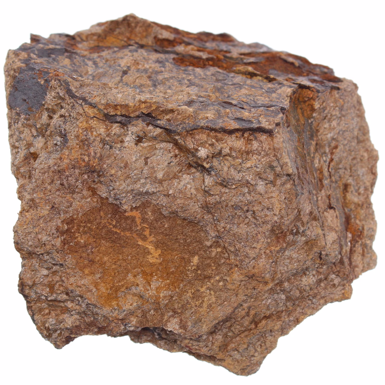 Bronzite du Brésil