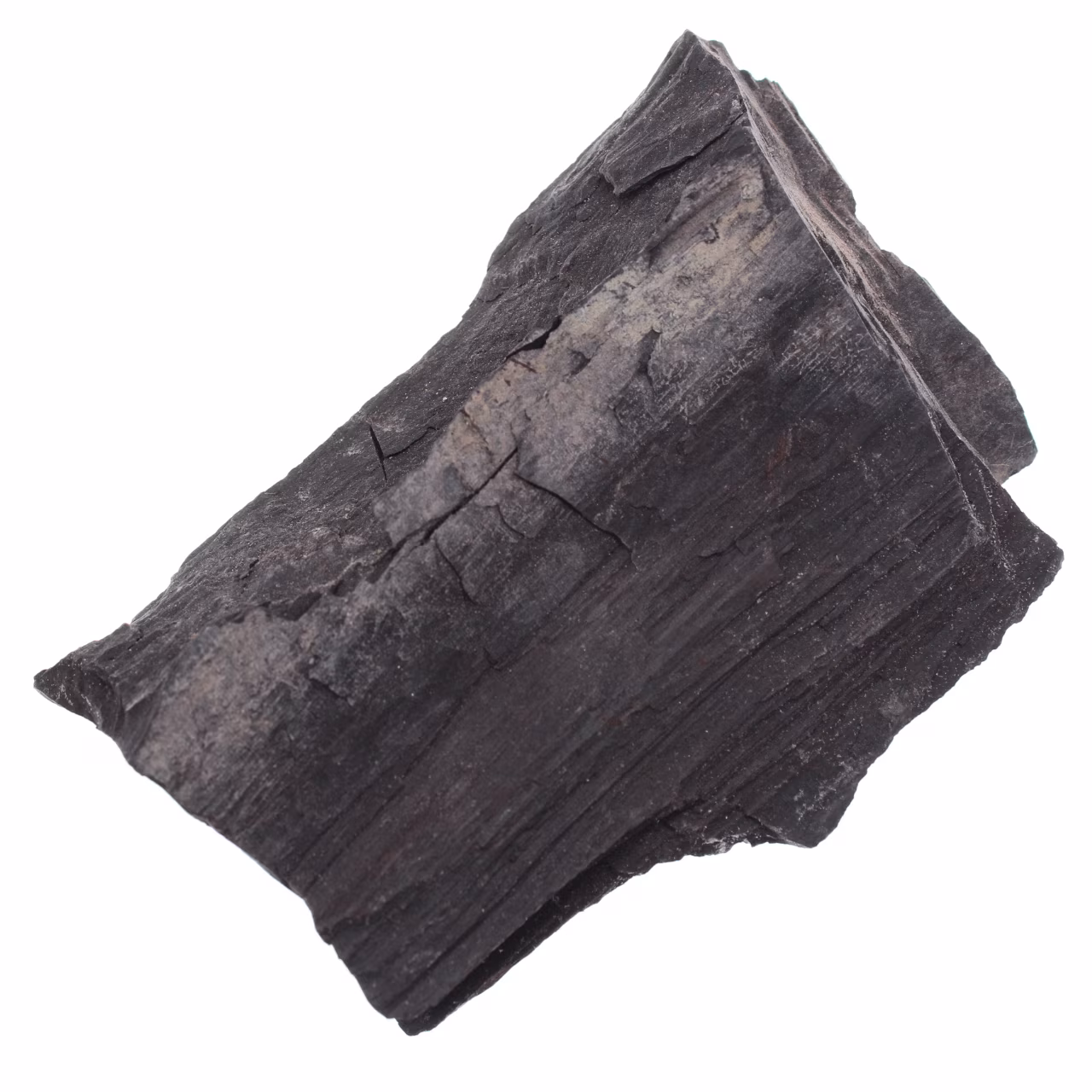 Jais de Mongolie
