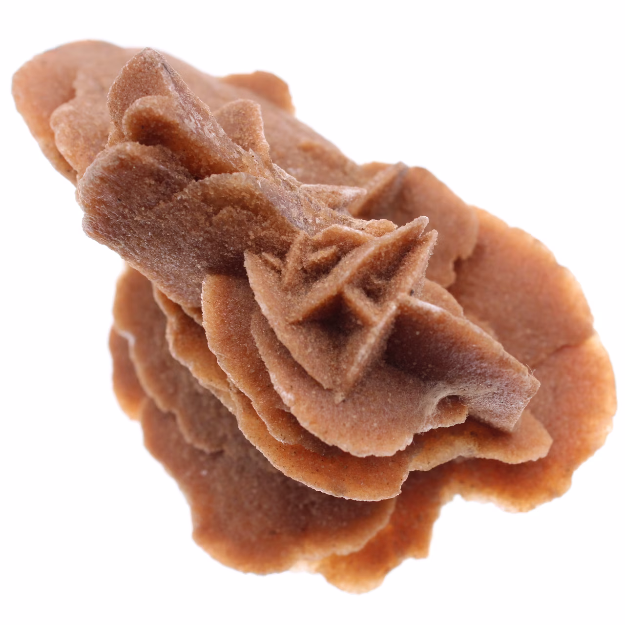 Rose des sables