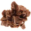 Rose des sables - 0