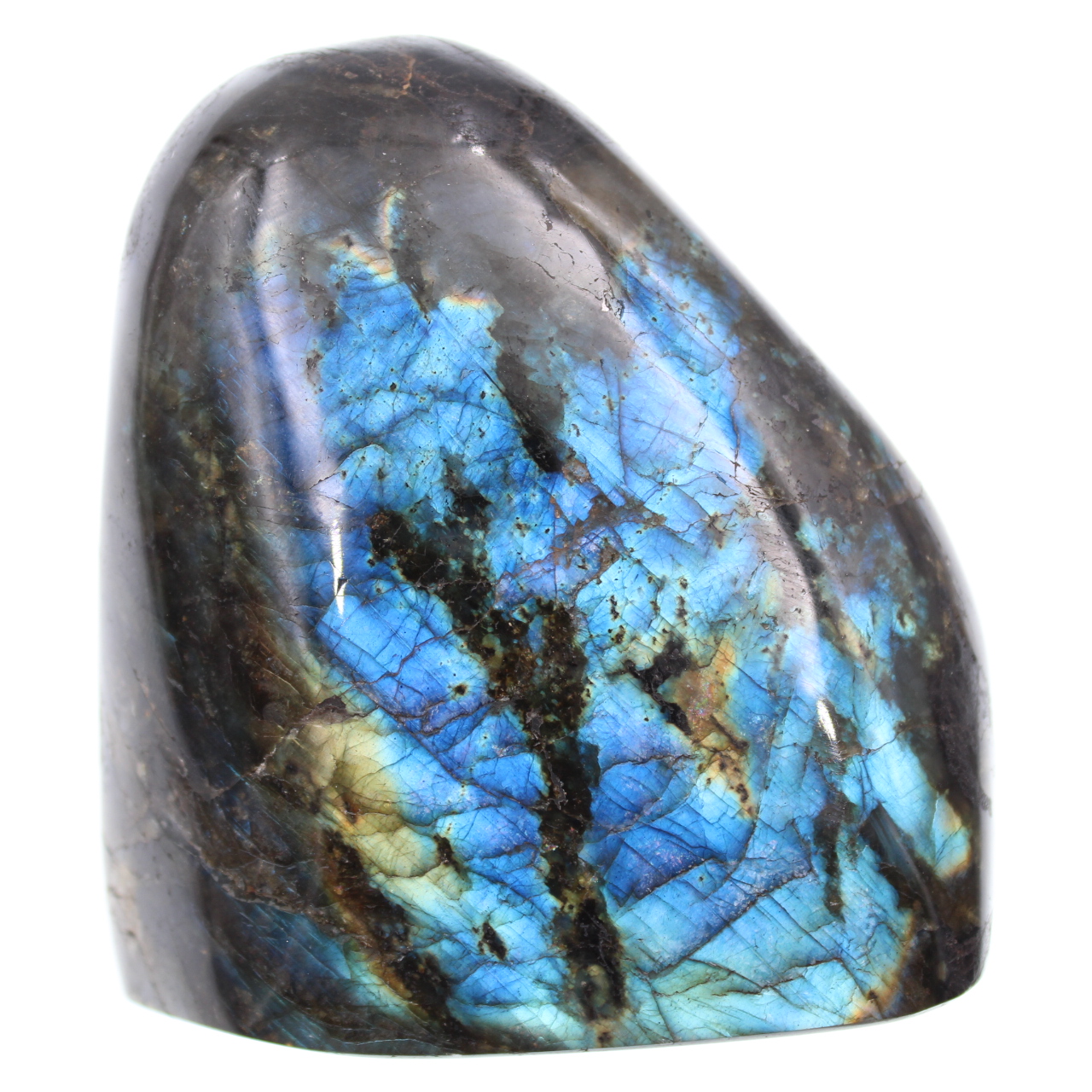Pierre de labradorite bleue forme polie