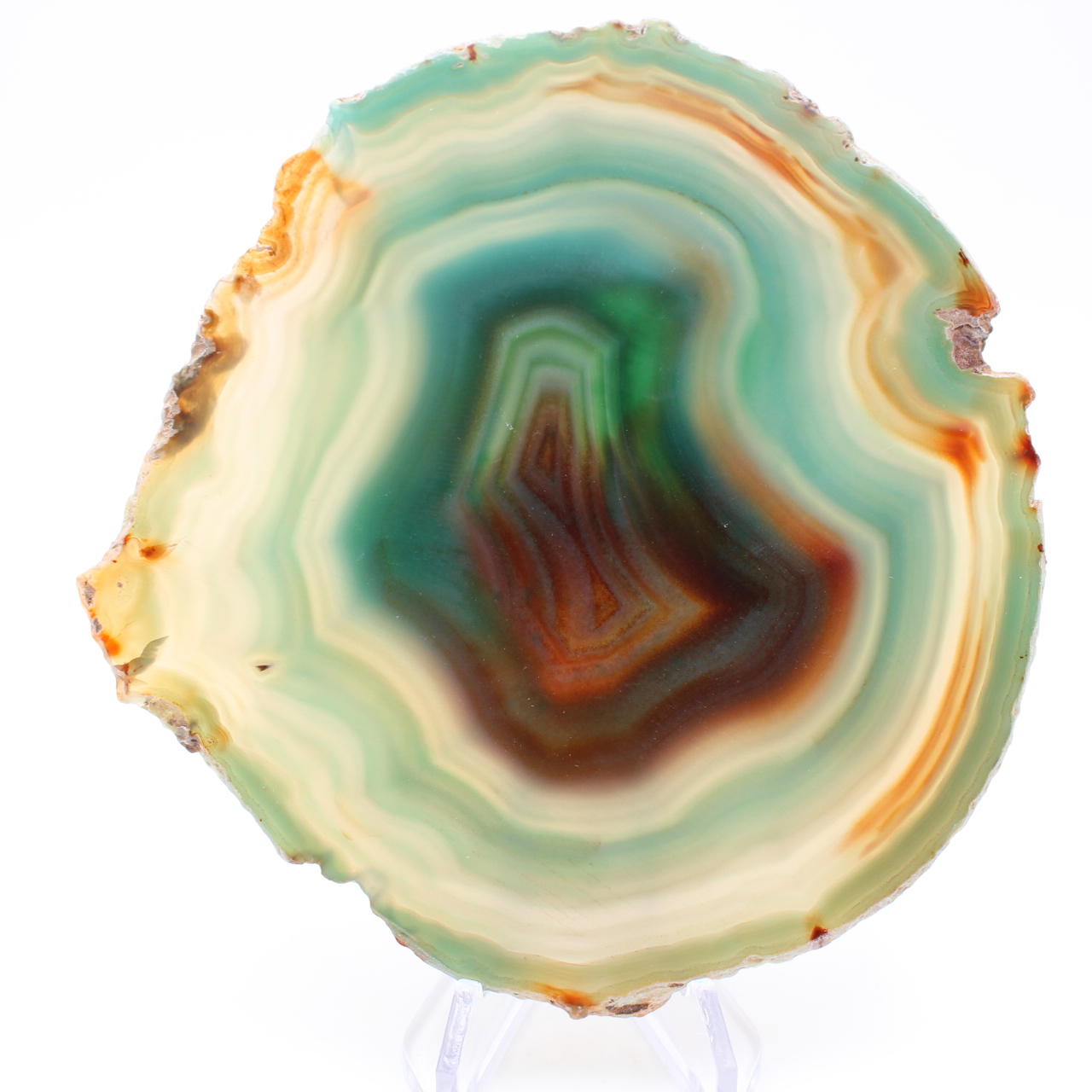Tranche d’agate verte