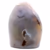 Agate de Madagascar