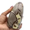 Septaria polie - 0