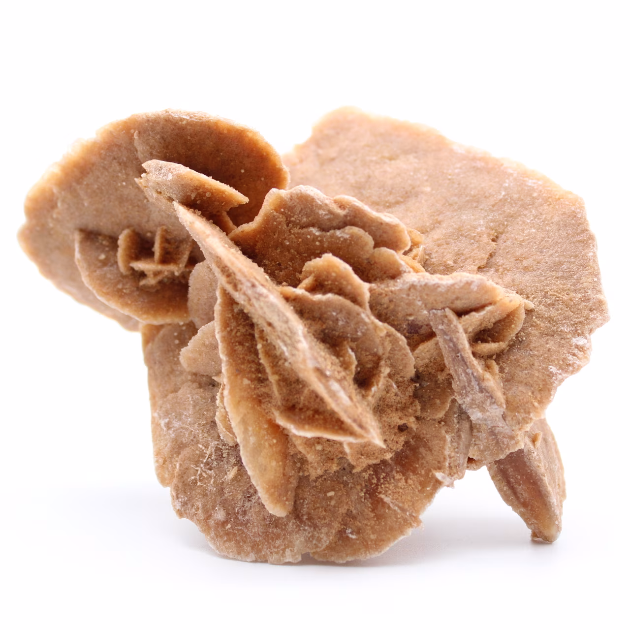 Rose des sables