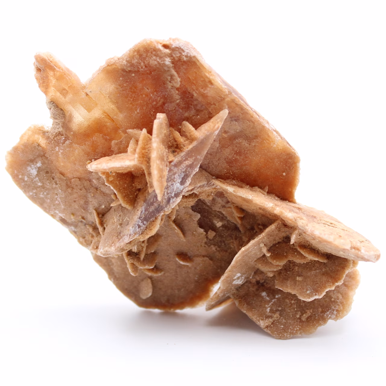 Rose des sables