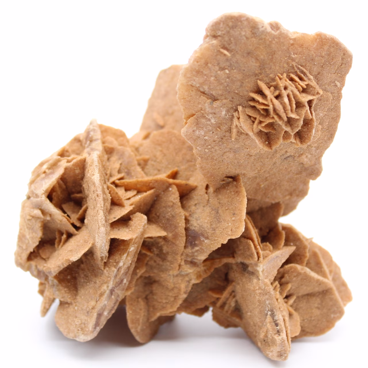 Rose des sables