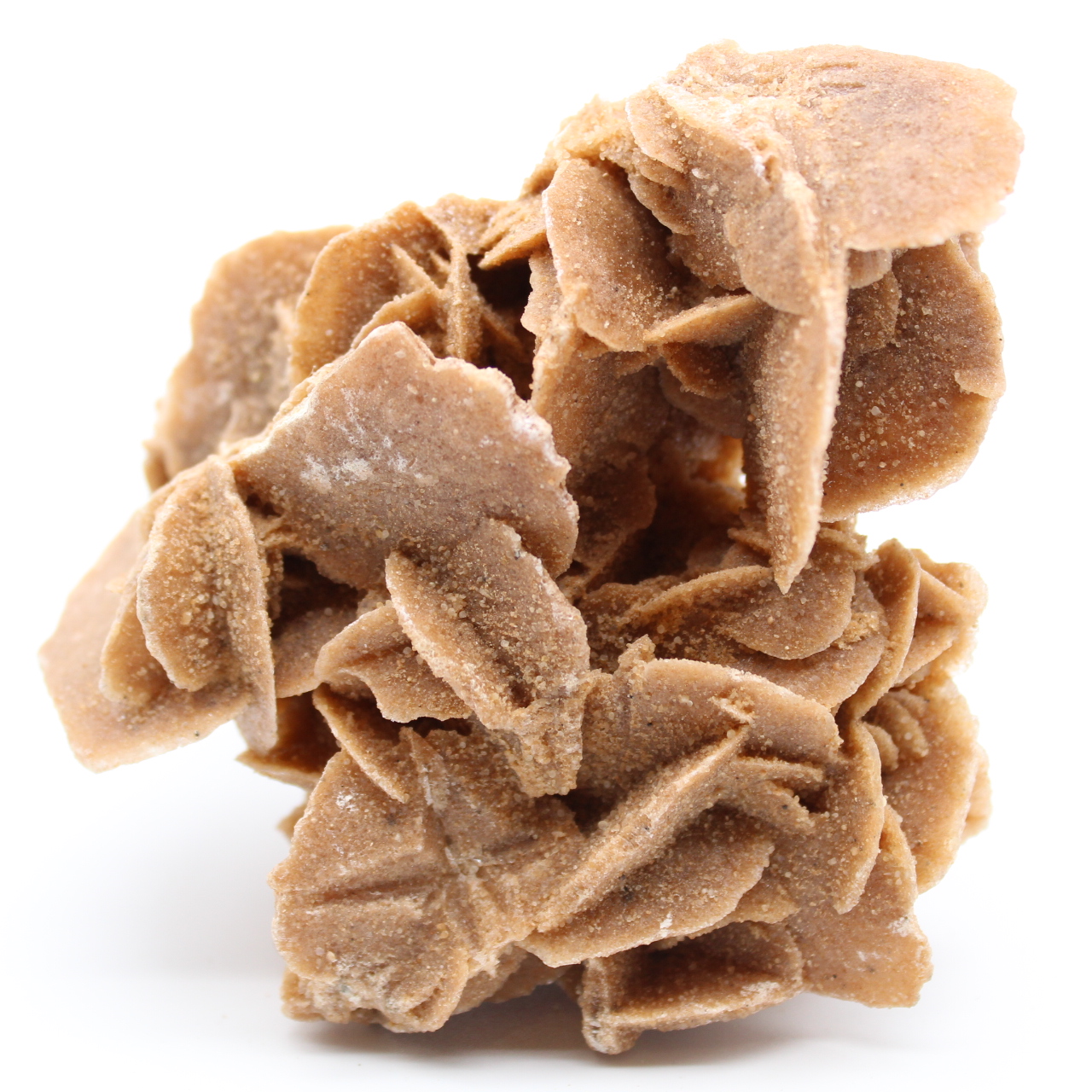 Rose des sables